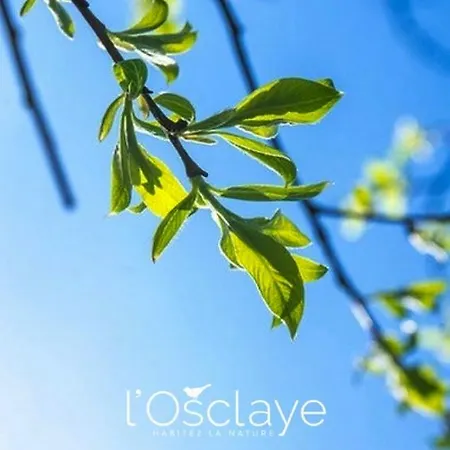 L'osclaye בית נופש